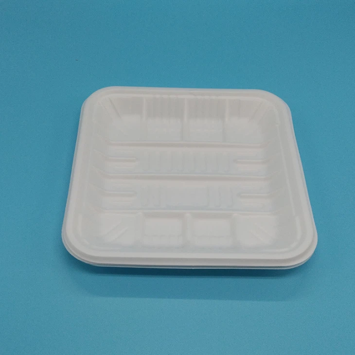 5 In Square Biodegradable PLA Tray