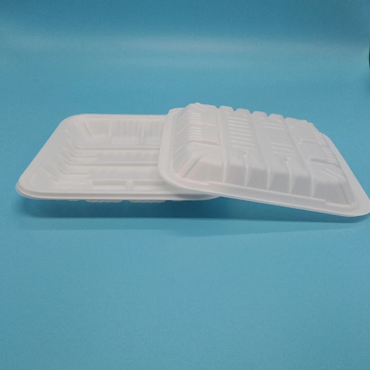 5 In Square Biodegradable PLA Tray