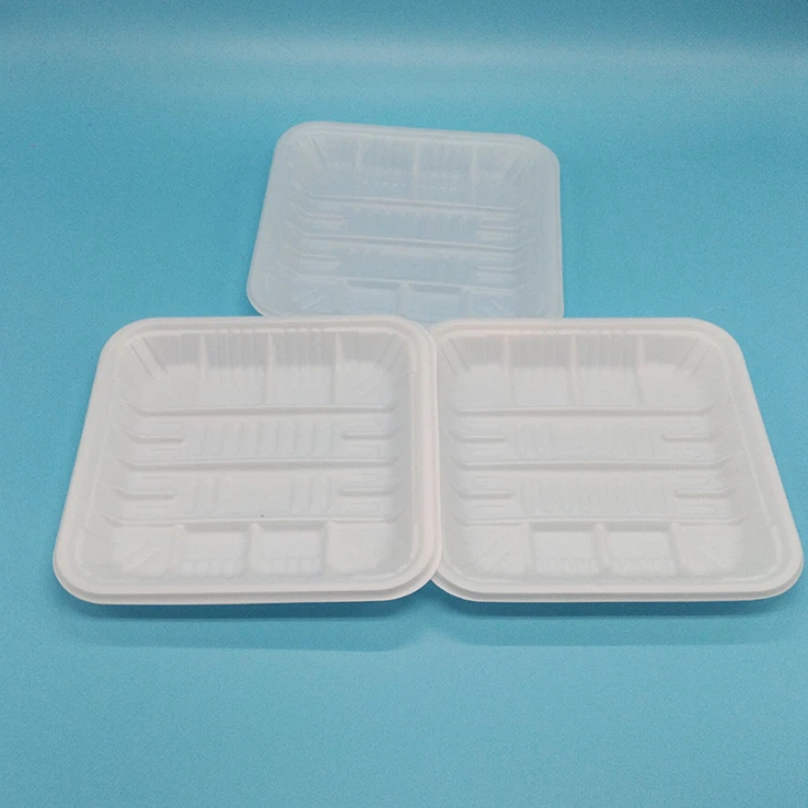 5 In Square Biodegradable PLA Tray