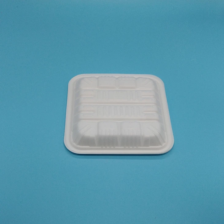 5 In Square Biodegradable PLA Tray