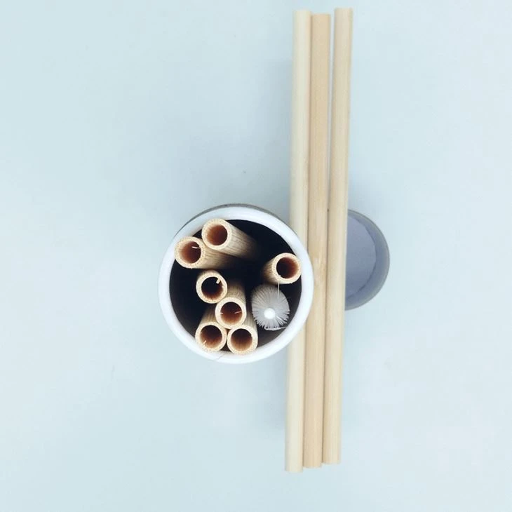 Bamboo Straw With Biodegradable Bottle